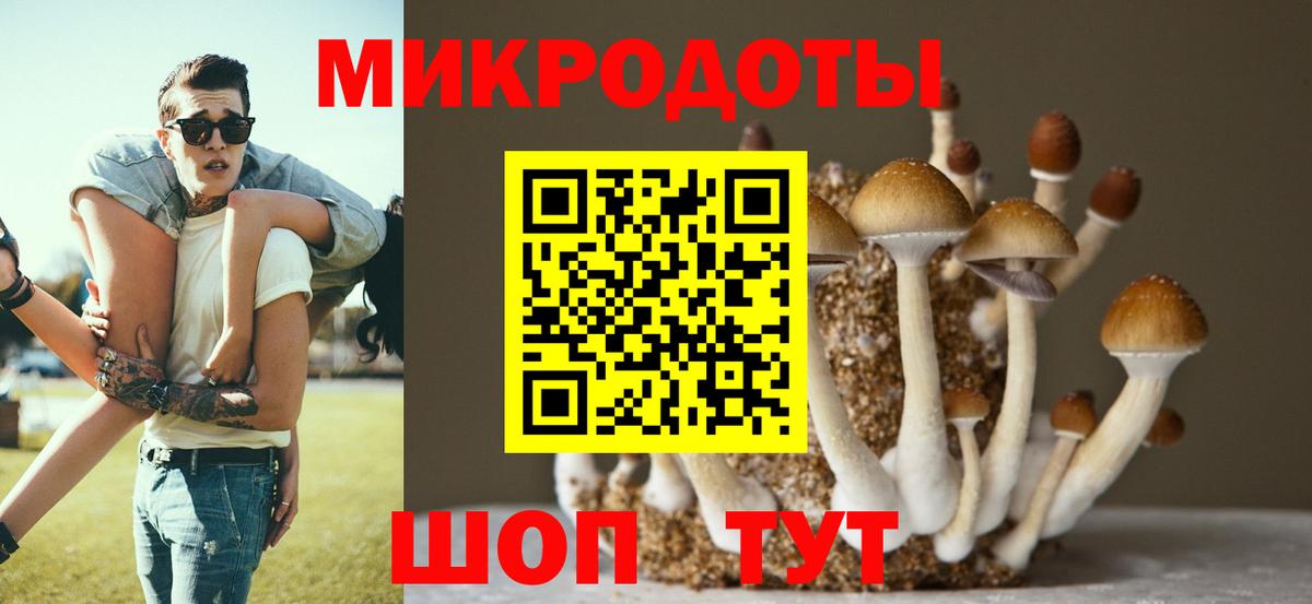 Татарск  Галлюциногенные грибы GOLDEN TEACHER  Вход с VPN 