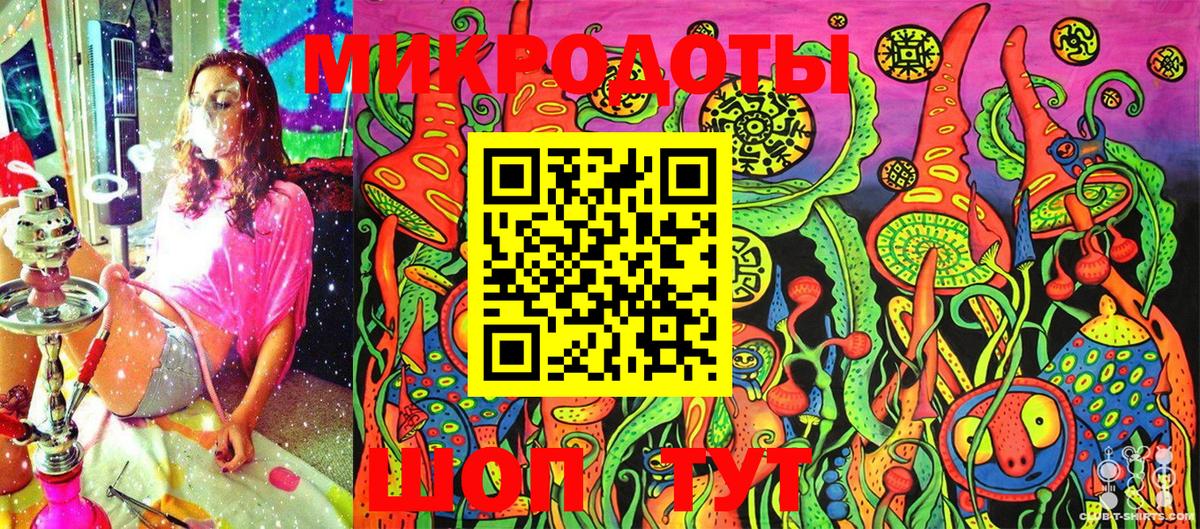 Псилоцибиновые грибы Psilocybe Татарск
